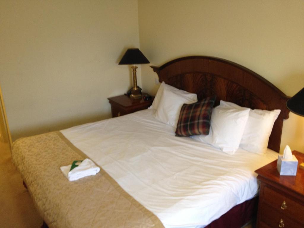 The Olde Windmill Inn Great Cressingham Room photo