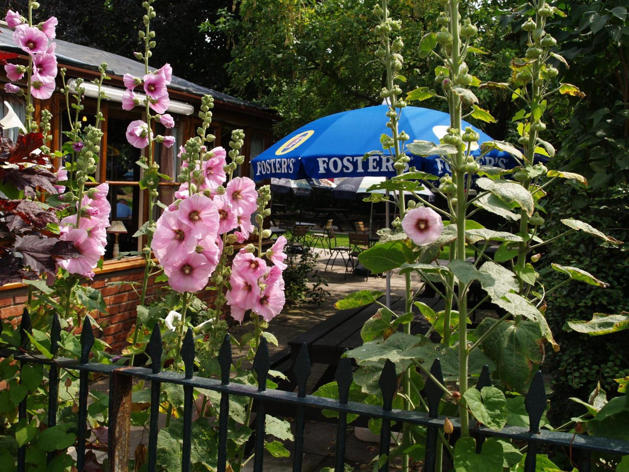 The Olde Windmill Inn Great Cressingham Exterior photo